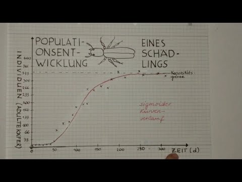 Diagramme auswerten