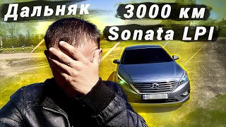 видео: ПОЕХАЛ в ДАЛЬНЯК 3000 км на  HYUNDAI SONATA LF, LPI, Проблема с топливом и др... картинка: ПОЕХАЛ в ДАЛЬНЯК 3000 км на  HYUNDAI SONATA LF, LPI, Проблема с топливом и др...