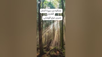 تلاوة للقارئ عمر عزي الوصابي