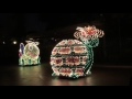 Disney Main Street Electrical Parade 2017