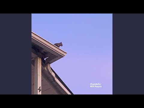 Chandelier - Will Paquin