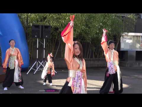 HADANO乱舞「翔」＠2013　湘南平塚スターライトフェスティバル