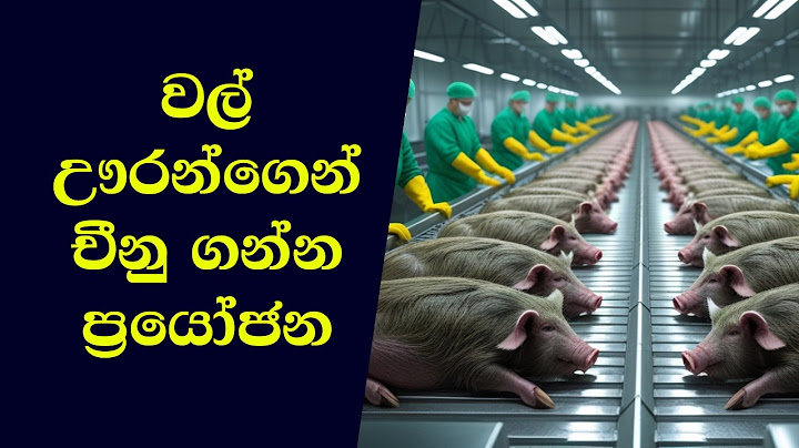 වල් ඌරු මස් ව්‍යාපාරය