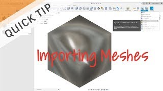 Celebrity QUICK TIP: Importing Meshes Net Worth