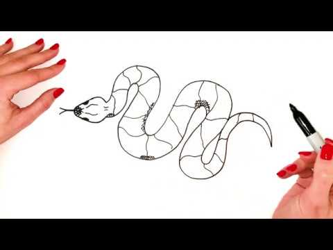 How To Draw A Snake  Sketch Tutorial 