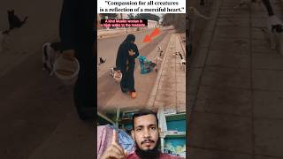 Kindness in Silence: A Hijabi Woman Feeds Stray Cats #respect #shorts