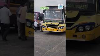 TNSTC #youtubeshorts #automobile #tourist #bus #travel #musicgenre #dharapuram #bussong #shorts