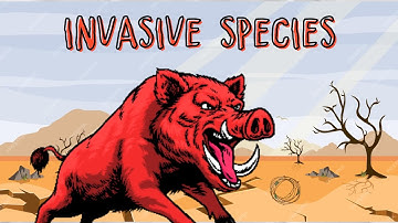 Crash Course Invasive Species (Step by Step)