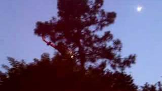 LAFD Helicopter - Sherman Oaks Benedict Canyon Fire