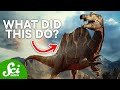 5 Unsolved Mysteries About Dinosaurs