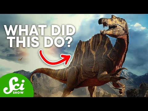 7 Dinosaur Mysteries We Haven't Fully Figured Out thumbnail