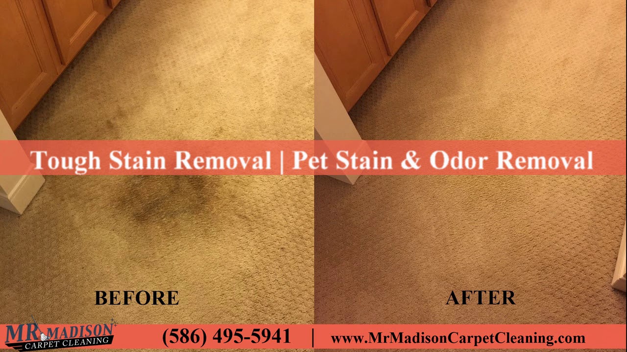 to Mr. Madison Carpet Cleaning & Upholstery Specialists YouTube