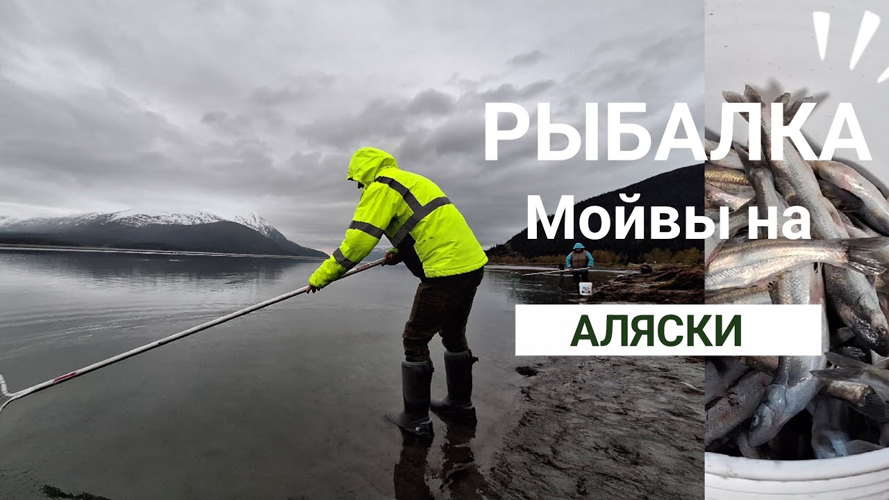 Hooligan Dip Netting in Alaska (53)