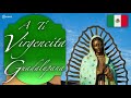 NORTEÑAS PARA NUESTRA VIRGEN GUADALUPANA! REYNA DE REYNAS!