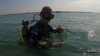 Radio Island Science Diving!