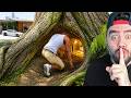 FRANKLIN AĞACIN IÇINE GIZLI EV YAPTI - GTA 5 MODS