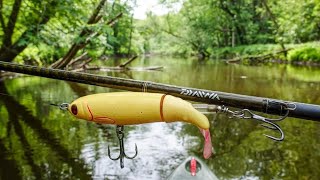 Whopper Plopper 130 | What Will EAT IT?!? | Michigan River Fishing