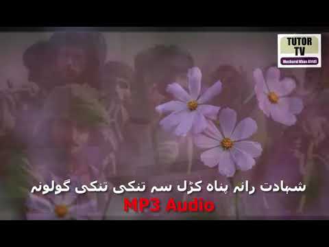 Shahadat Rna Panah Karho S Tanki Tanki Guluna Pashto Nazam Jihadi Tarana Nazm Islamic Video Tutor TV