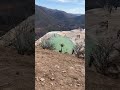 #mexico