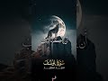 الشيخ سيد سعيد مش هيتكرر 