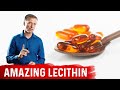 The 11 Benefits of Lecithin