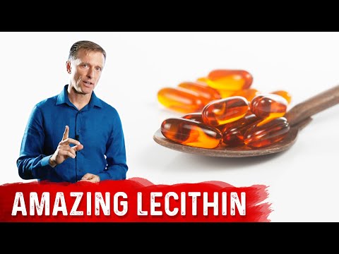 The 11 Benefits of Lecithin