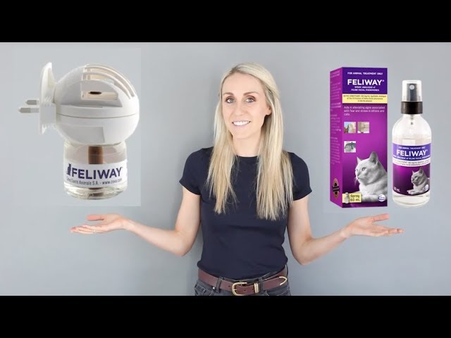 Feliway: How Does It Work? 