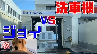 洗車機VSジョイ