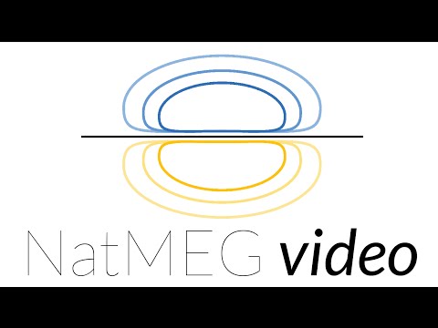 NatMEG lecture: Forward