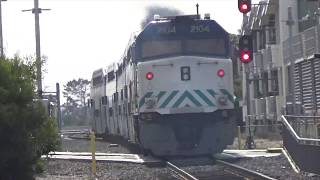 Railfanning Encinitas & Carlsbad Village 01/19/2020 Feat. Amtrak, Horn Shows & Coaster!