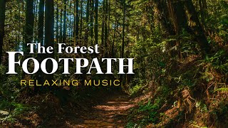 Relaxing music in a path in the forest • Stress relief • Uplifting sound • Positive energy