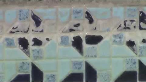 INSTRUCTION 24. Pool Tile Cleaning Demo 3.  Mr. Hard Water Pool Tile Cleaning Trash Blast Kits