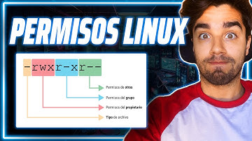 Usa CHMOD como un PRO para Cambiar Permisos en LINUX 📁