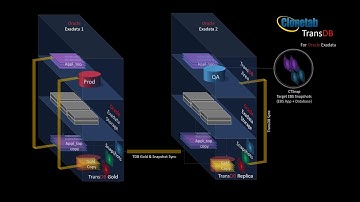 Clonetab TransDB - Instant database clones on Oracle Exadata