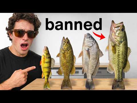 Every Fish I Catch Becomes My Food!