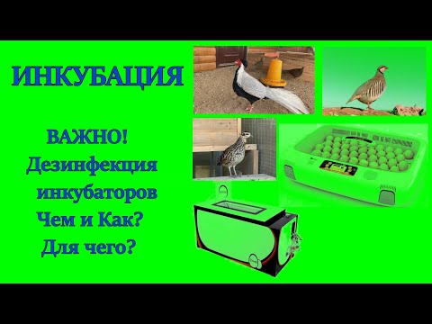 ИНКУБАЦИЯ. ДЕЗИНФЕКЦИЯ ИНКУБАТОРОВ. ХОТИТЕ 100% ВЫВОД ПТЕНЦОВ! DISINFECTION OF INCUBATORS.