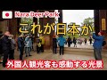 外国人観光客も感動する光景 奈良公園 これが日本か | NARA PARK JAPAN