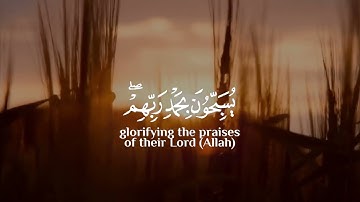 سورة الزمر- الايات 73,74,75 - الشيخ محمود العبد - المندرة