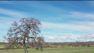 A Placer County Cemetery Hopes To Help The Planet Long After We're Gone