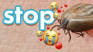 Disgusting Ticks Are Ruining My Life