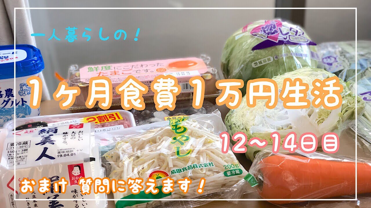 １ヶ月食費１万円生活 その５ 一人暮らしの食費節約 一口コンロ Youtube