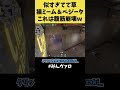 ベジータ似すぎてて草w猫ミームからの突然のベジータで腹筋崩壊したww #shorts #valorant #valorantclips