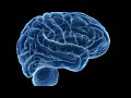 GODLY DOPAMINE DETOX | REWIRE YOUR BRAIN & BREAK ADDICTIONS