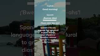 The CORRECT Way to SAY Good Morning👋 in Spanish #shorts #spanish #learnspanish #spanishlessons