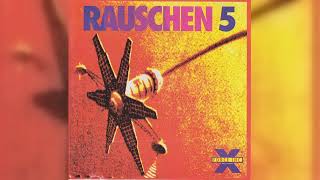 Various - Rauschen 5 (Breakbeat, Hardcore, Techno, Acid) (1993)