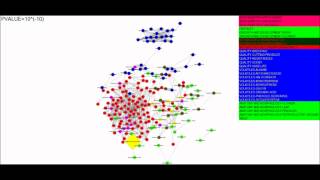 ROSES ATTRIBUTE CORRELATION NETWORK BY SPEARMAN
