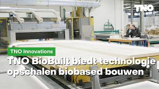 TNO BioBuilt helpt bouwsector bij opschalen biobased bouwen | TNO