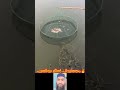 പുതിയ മീൻ പിടുത്തം #mallutraveler#fishingfreaks#shortsX#mallu#malayalam#m4tech