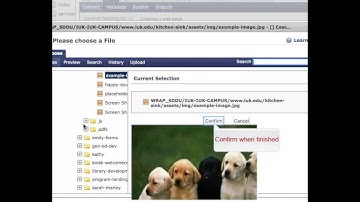 WYSIWYG - Add an Image