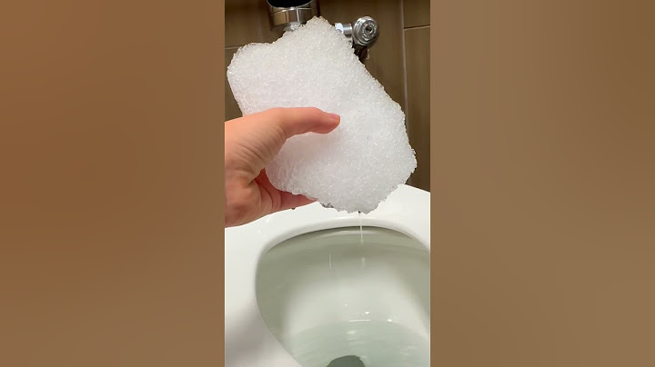 Throwing Snow At A Cactus 🌵